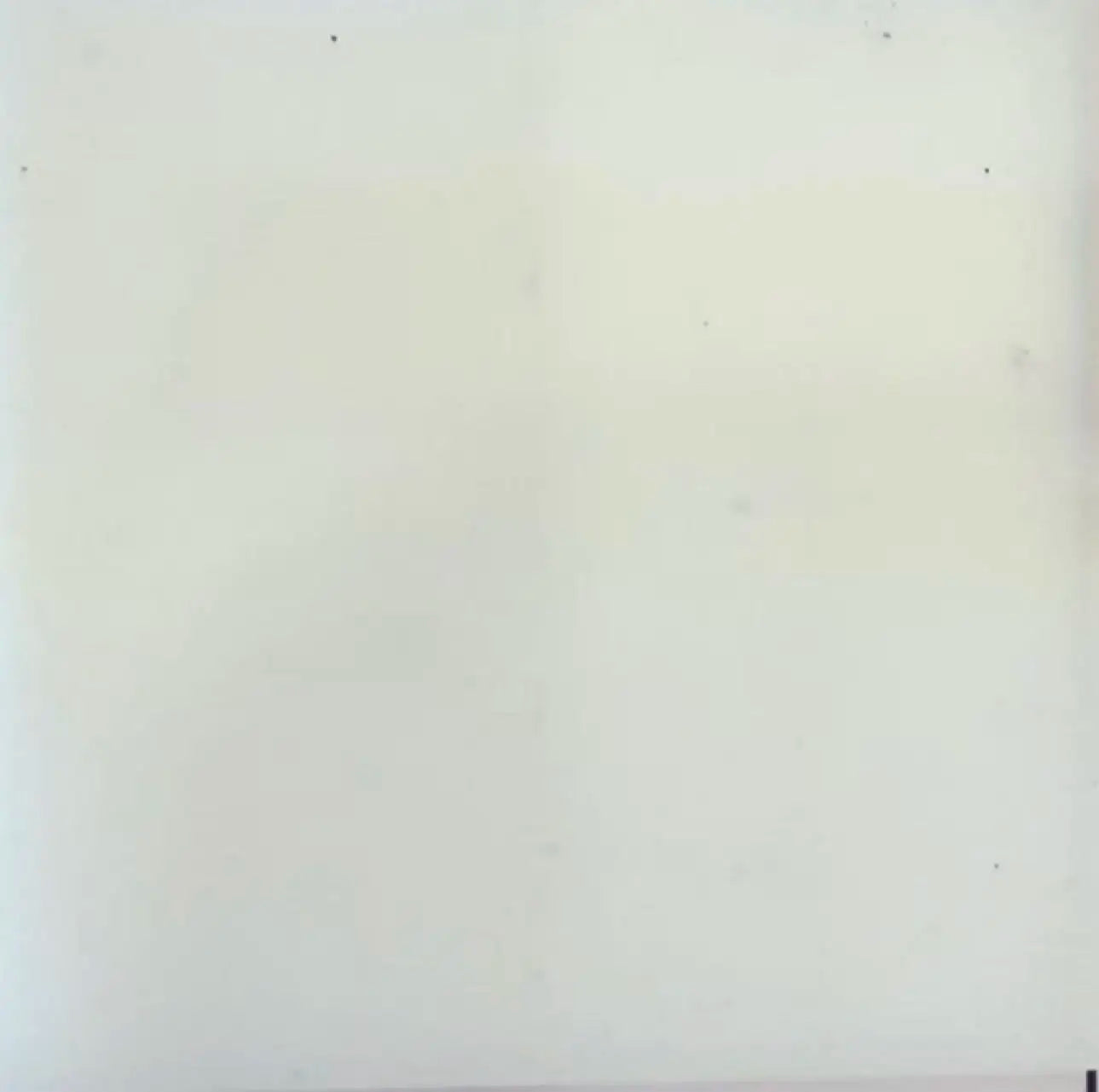 Clear PVC Jelly Tote Bag